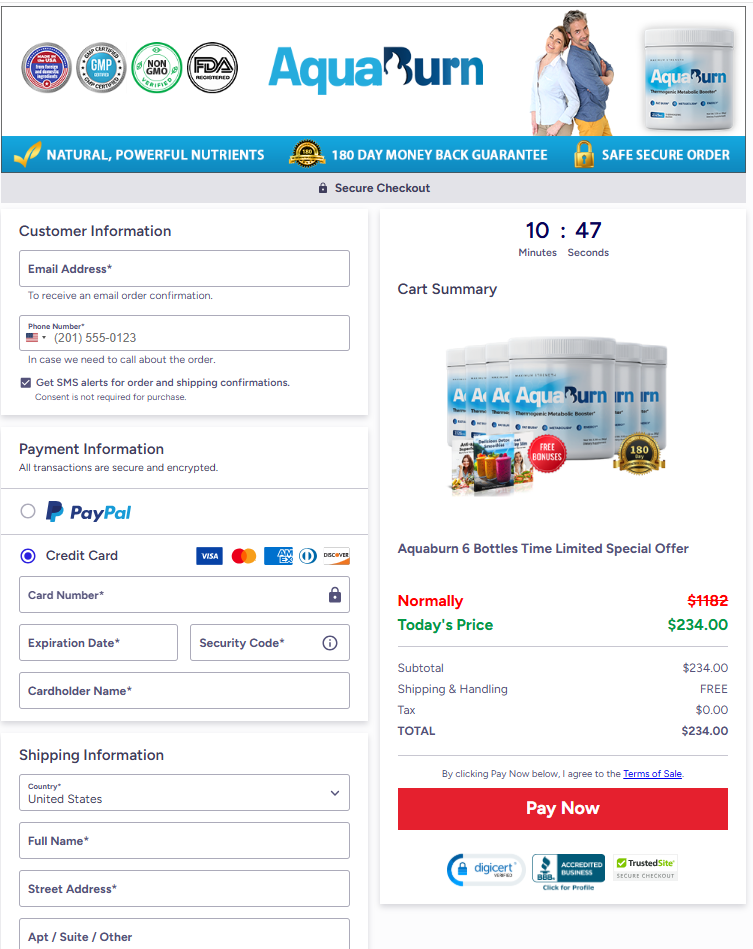 Secure checkout process with encrypted payment for safe online ordering